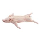 Cerdo entero para asar de 20-23 kg