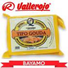 Queso Fundido tipo Gouda